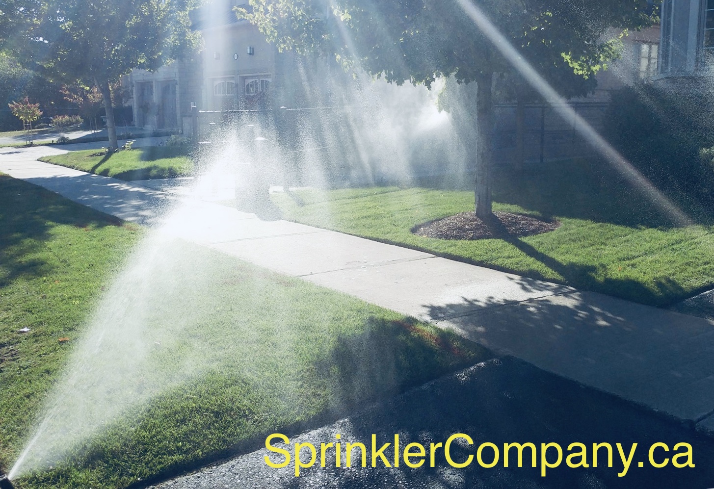 Commercial Lawn Sprinklers The Sprinkler Company Inc.