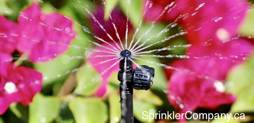 Irrigation micro spray