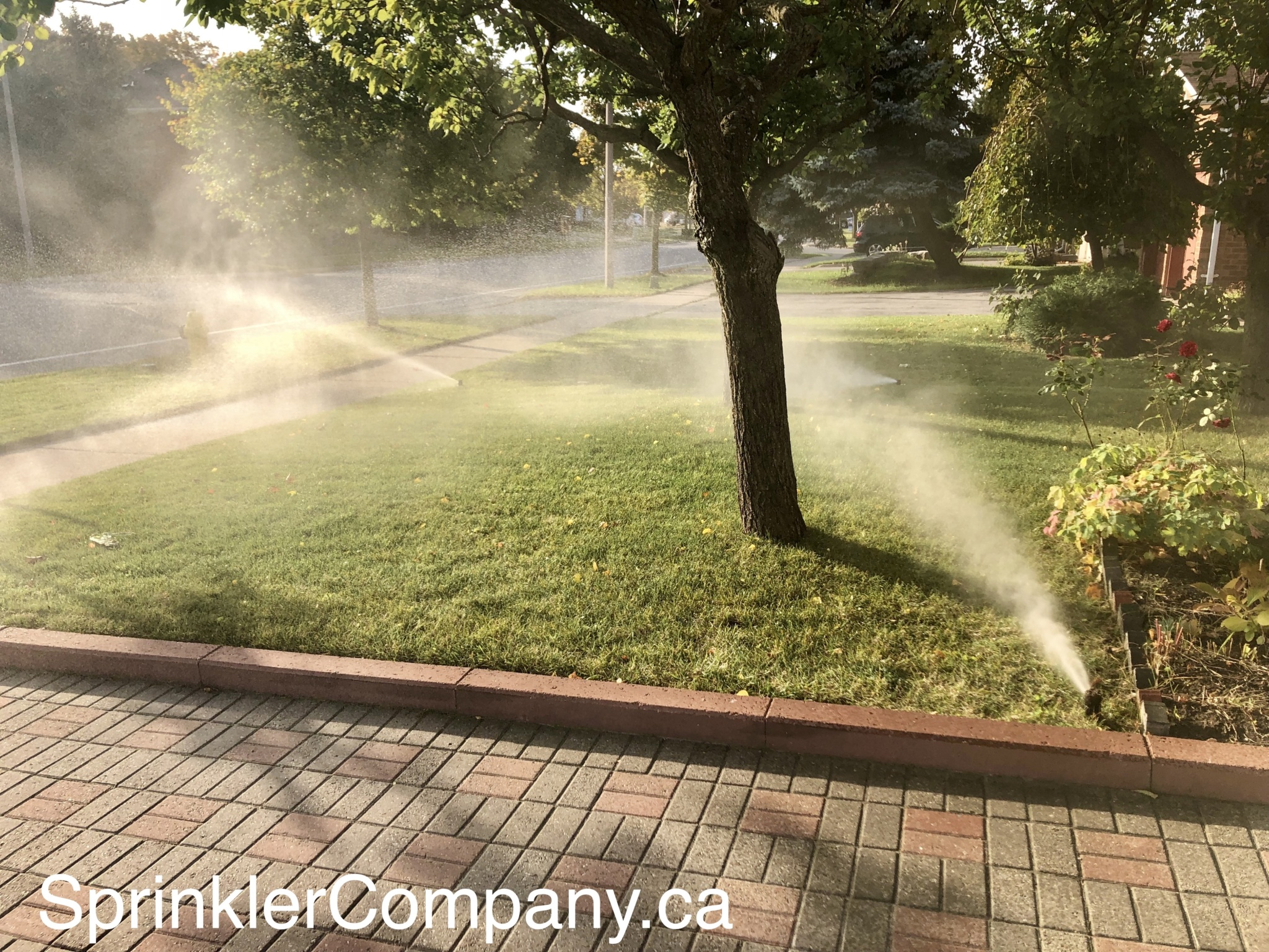 Sprinkler Valve Replacement Cost THE SPRINKLER COMPANY Inc.