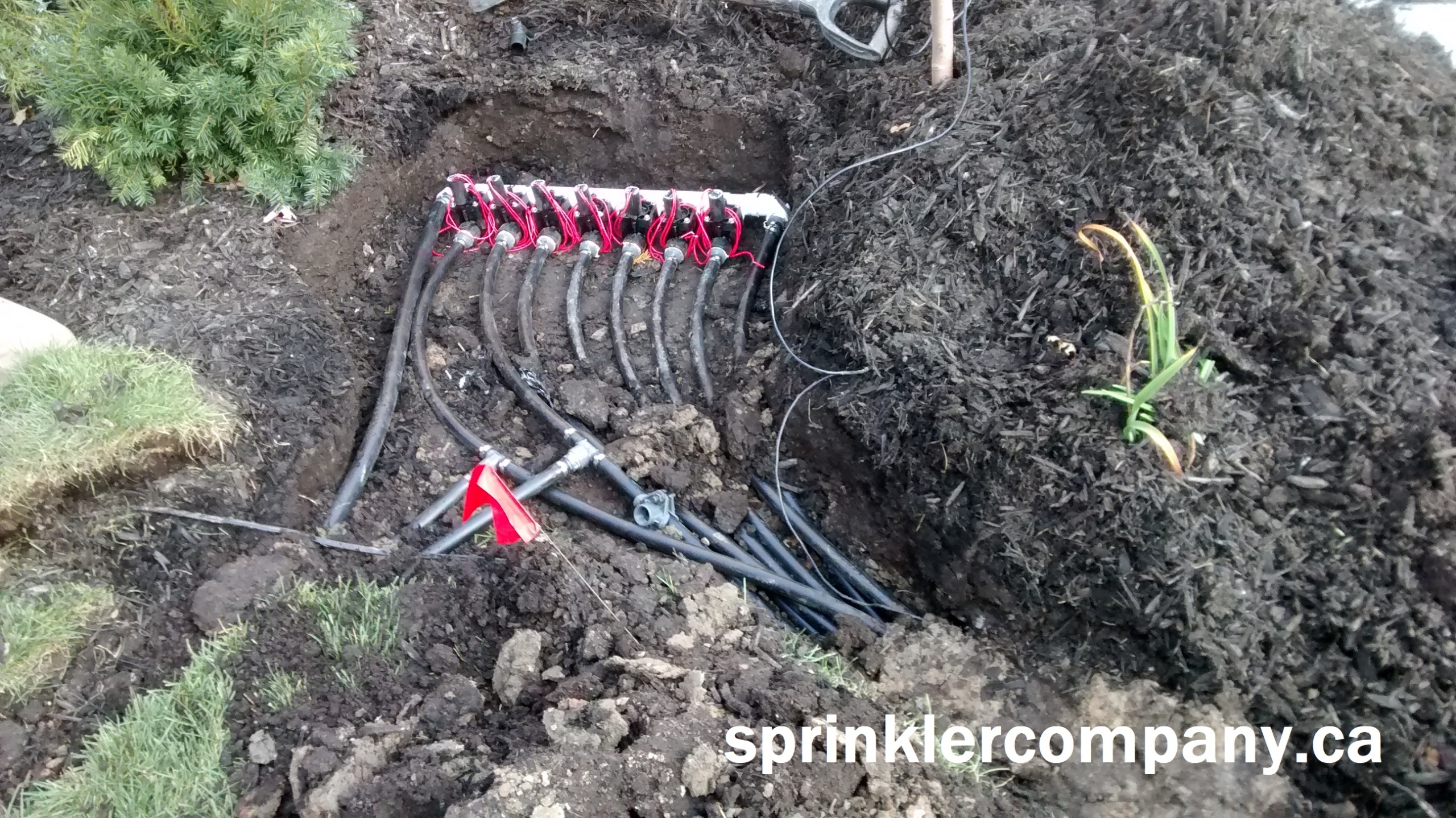 Sprinkler System Installation Companies Near Me