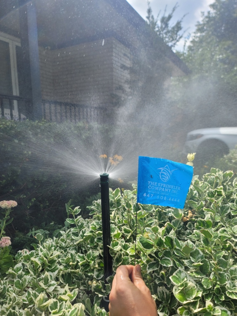 Easy sprinkler system