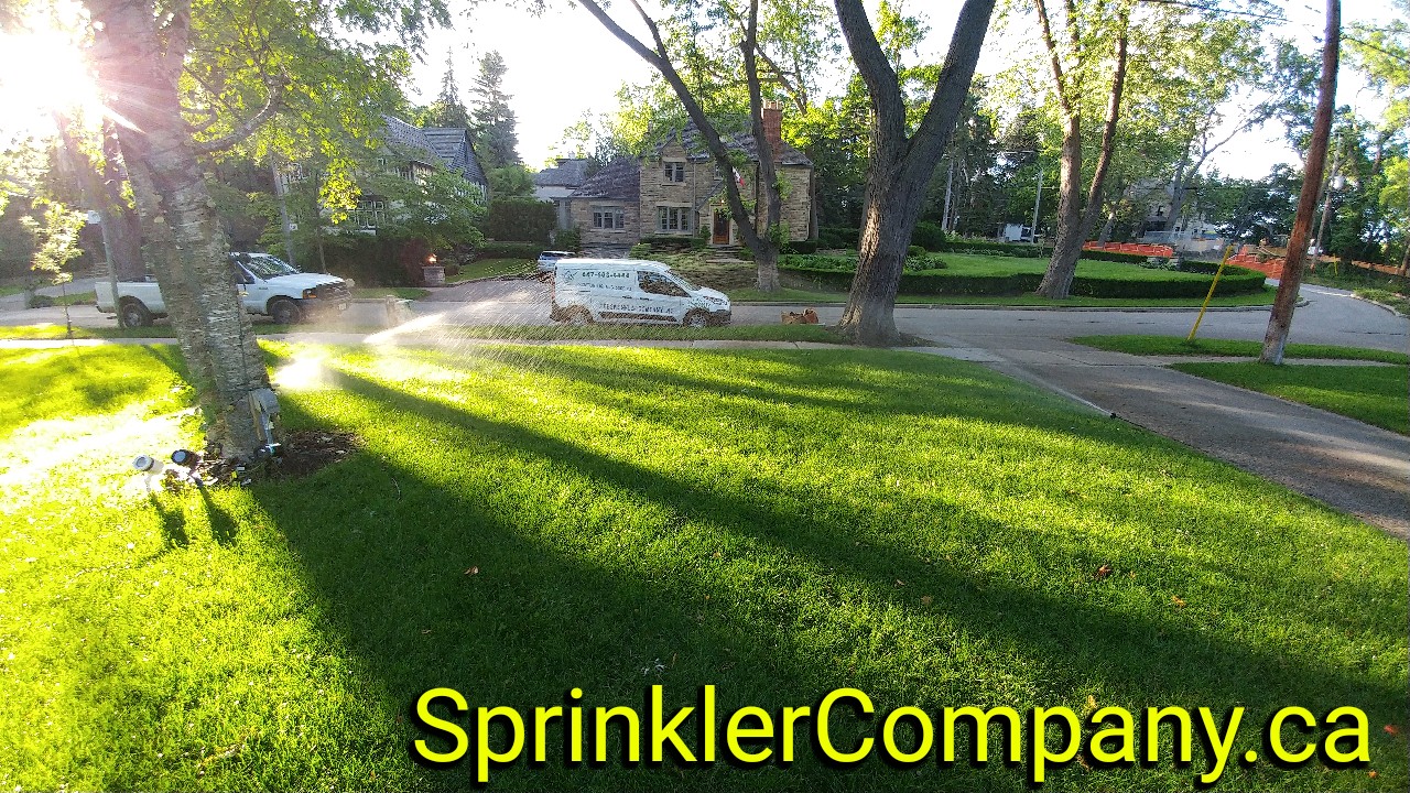 fix spray sprinkler head 