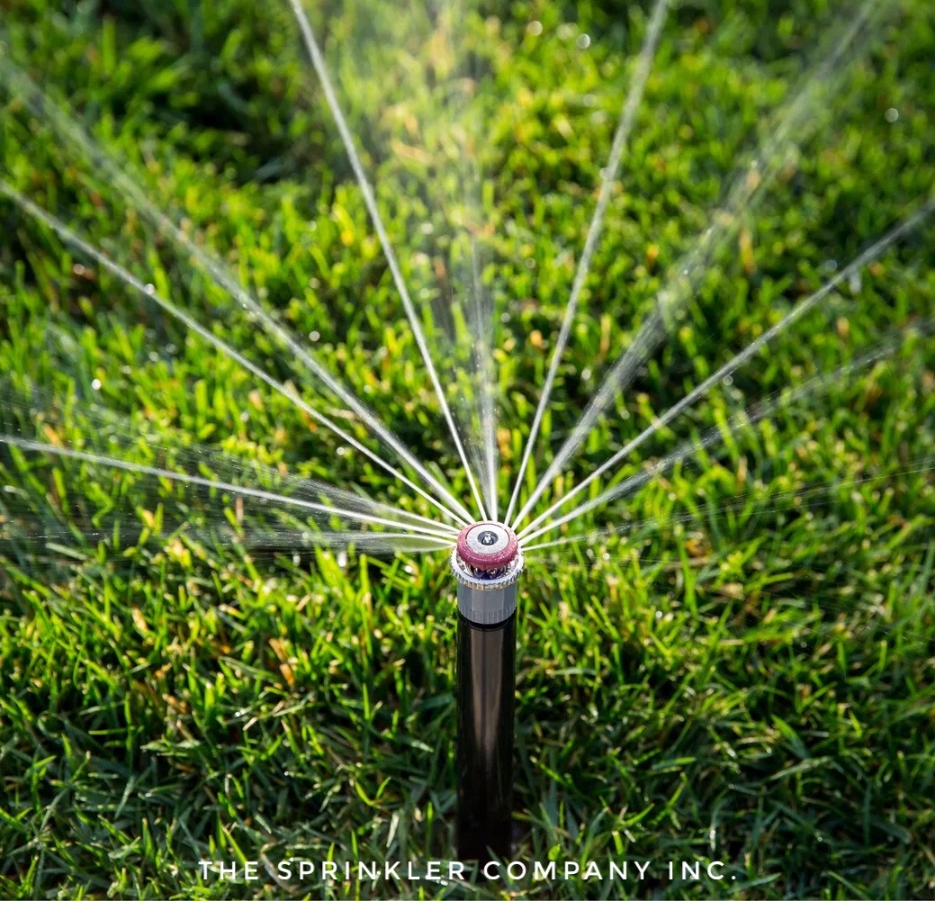 Price for Sprinkler System