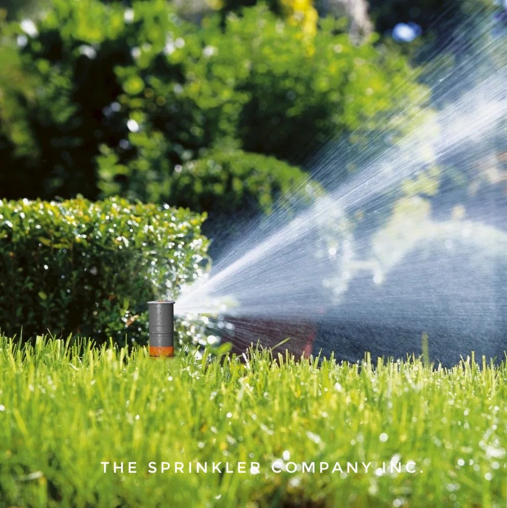 Sprinkler System Repair Cost