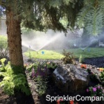 Back yard irrigation system