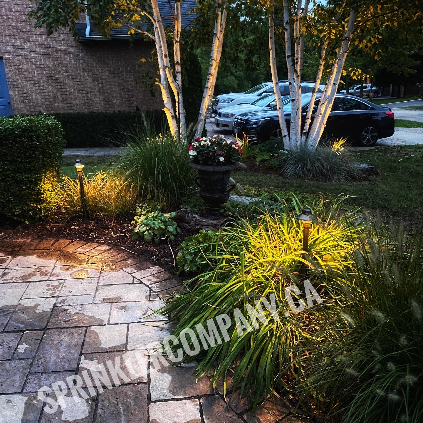 Price for Sprinkler System