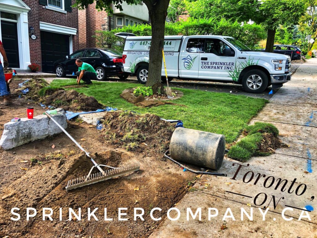 Irrigation Line Repair