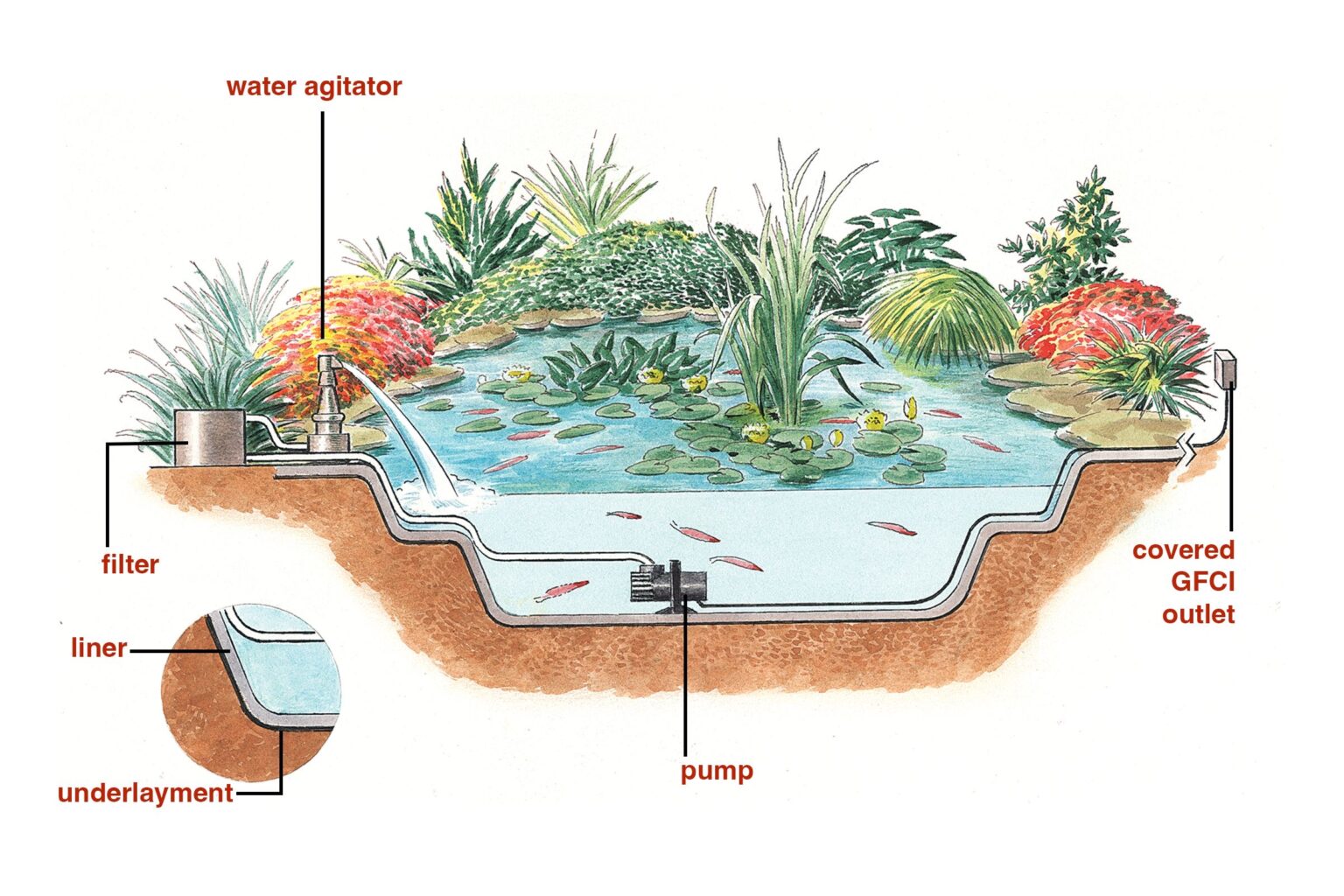 Pond Installation Cost