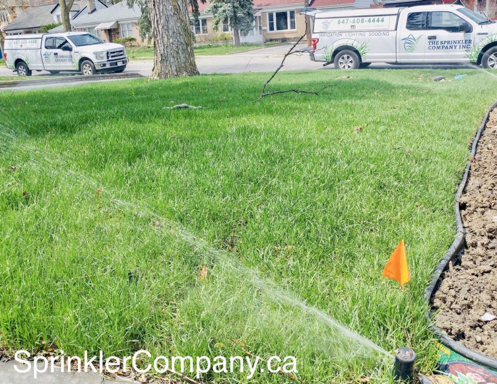 water sprinkler repair near me