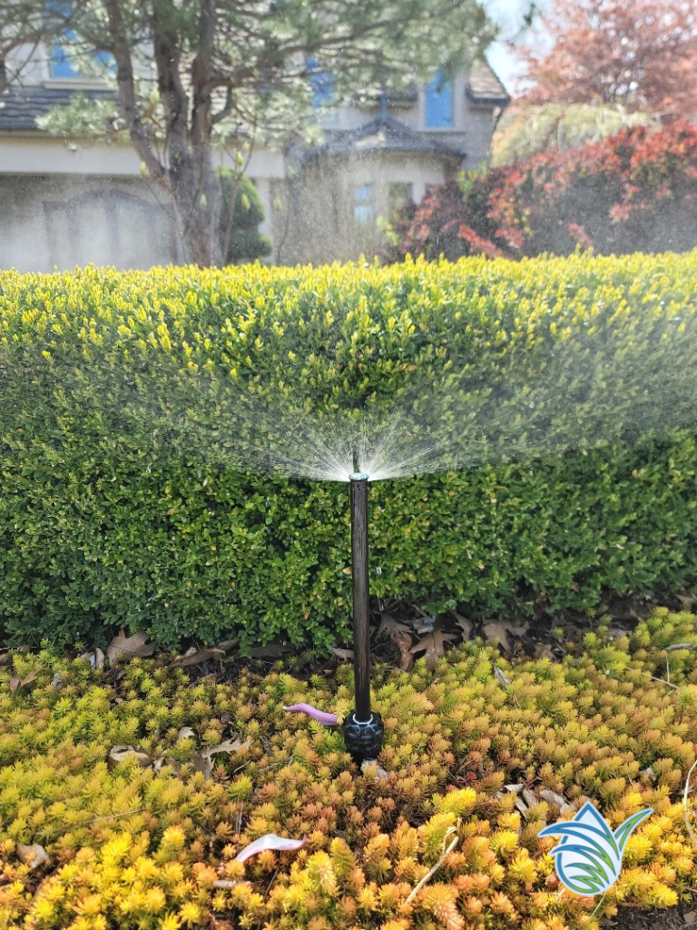 Sprinkler System blowout procedure