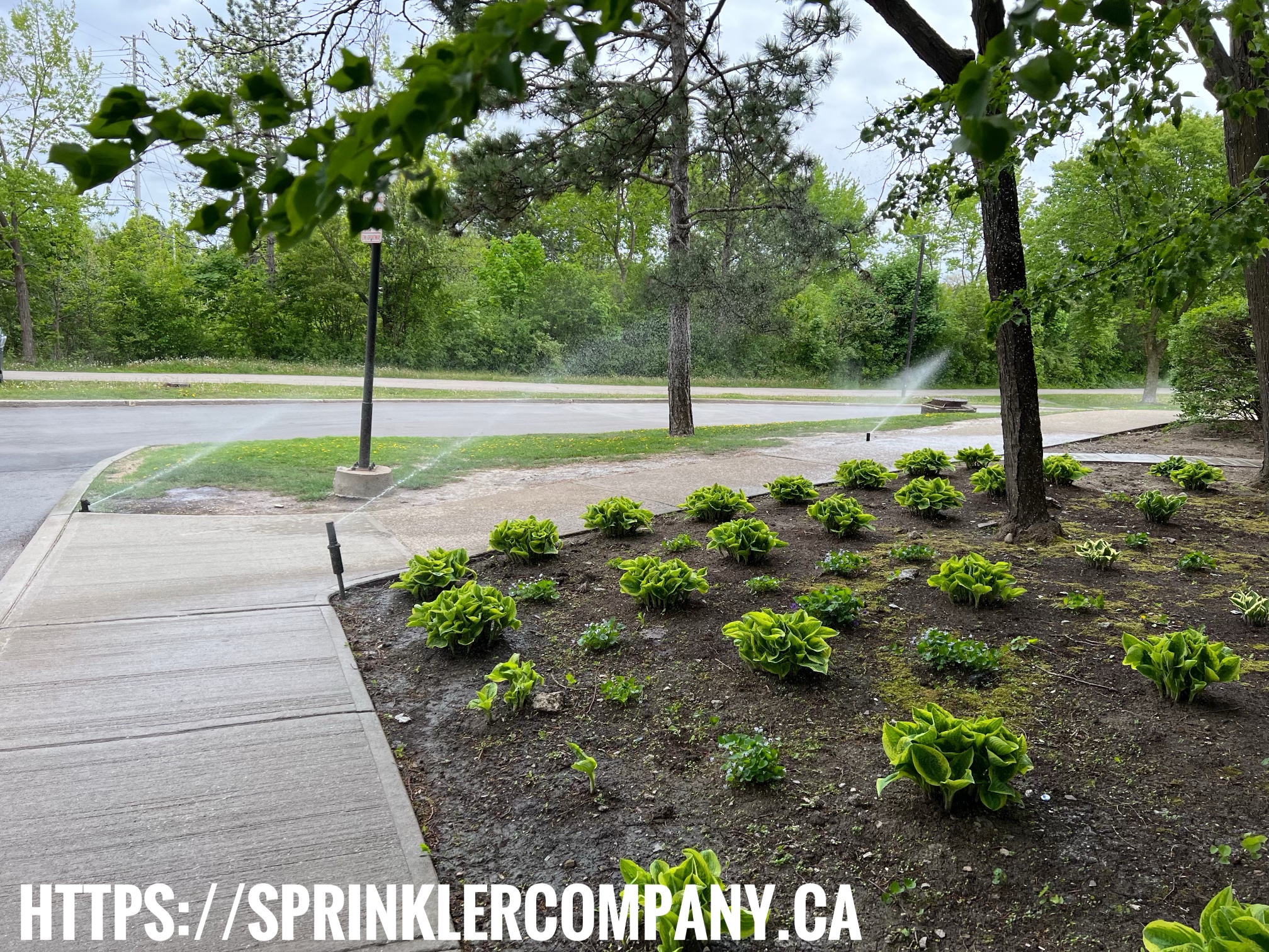 Sprinkler Emergency Repair The Sprinkler Company Inc.