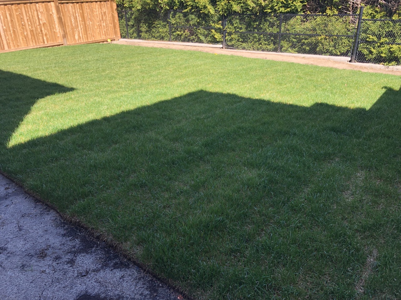 sod installation