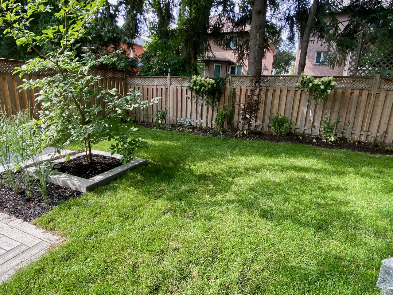 Backyard lawn with an operating sprinkler beside raised garden beds