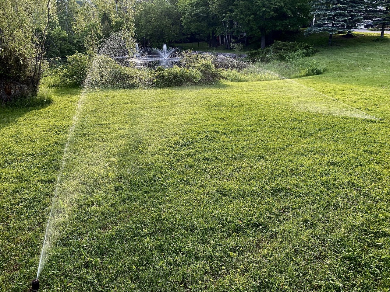 Toronto Irrigation Winterization