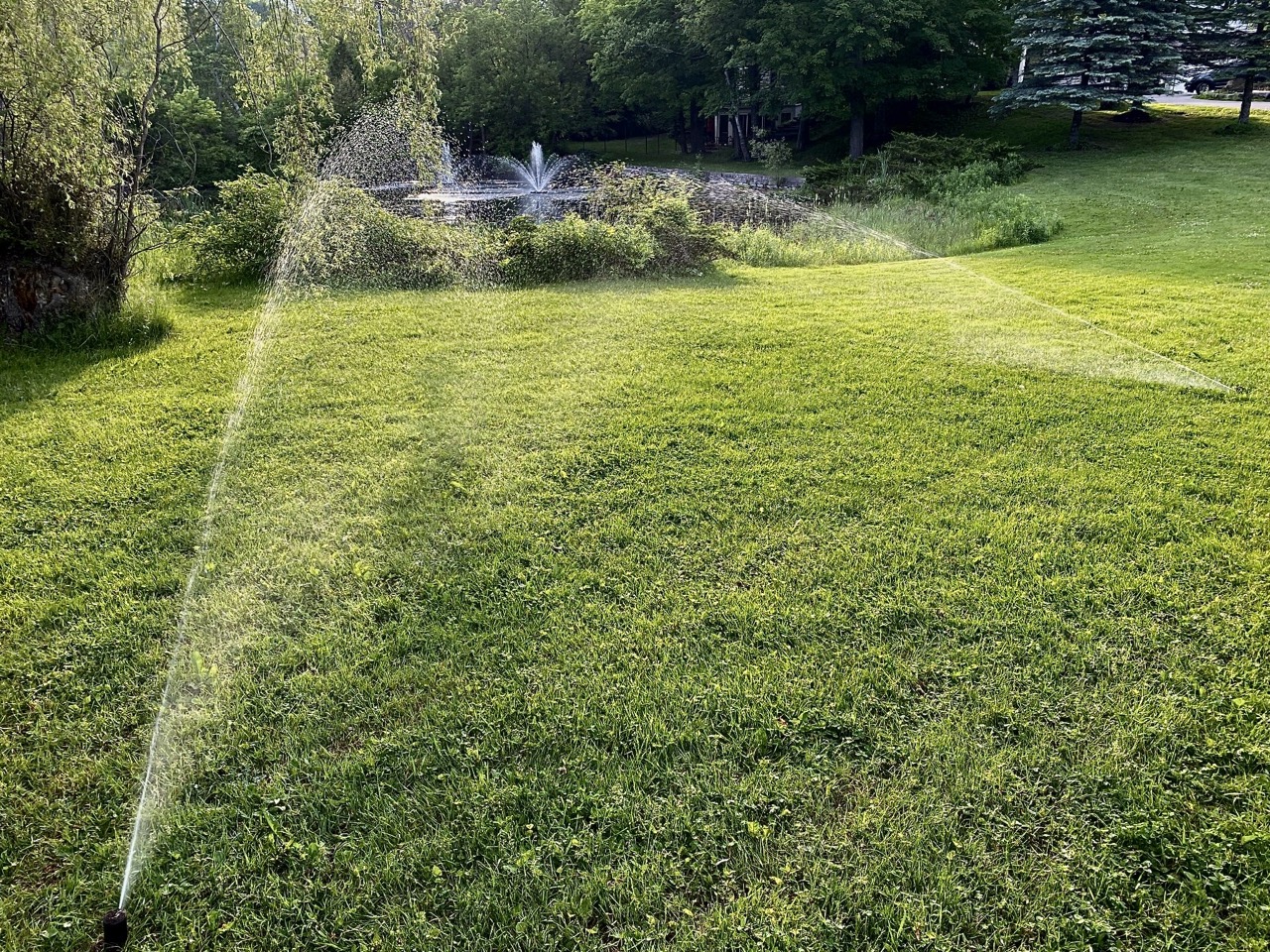Mississauga Irrigation Blowout