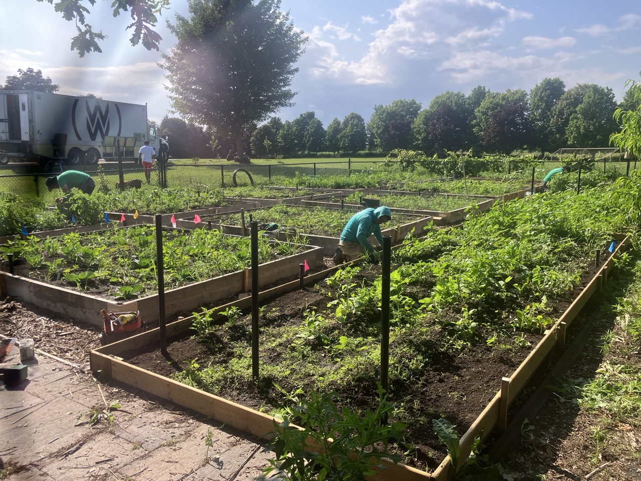 Detached Home project 1