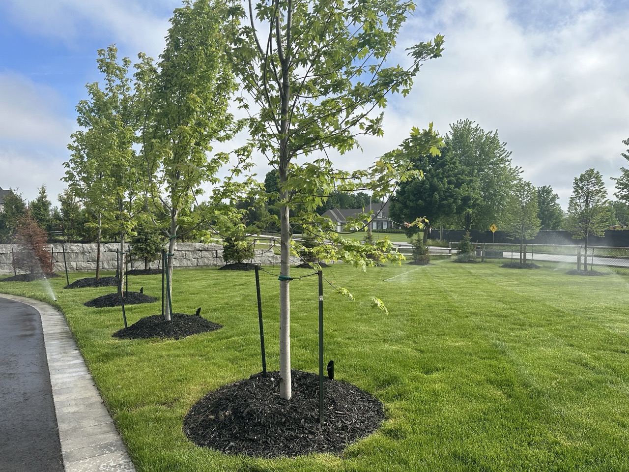 Sprinkler System Service Toronto