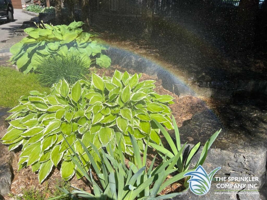 protecting irrigation from frost