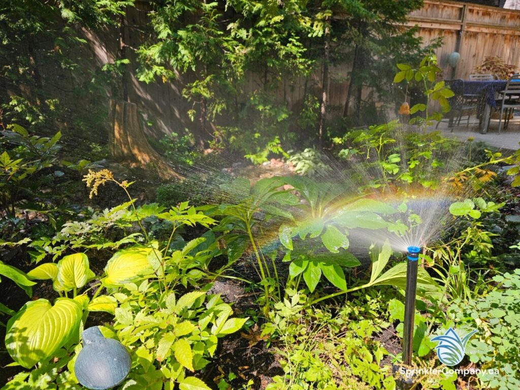 irrigation sprinkler blowout Caledon