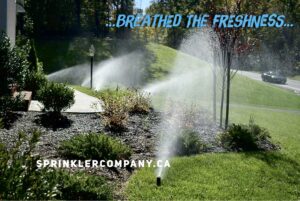 drain sprinkler system toronto