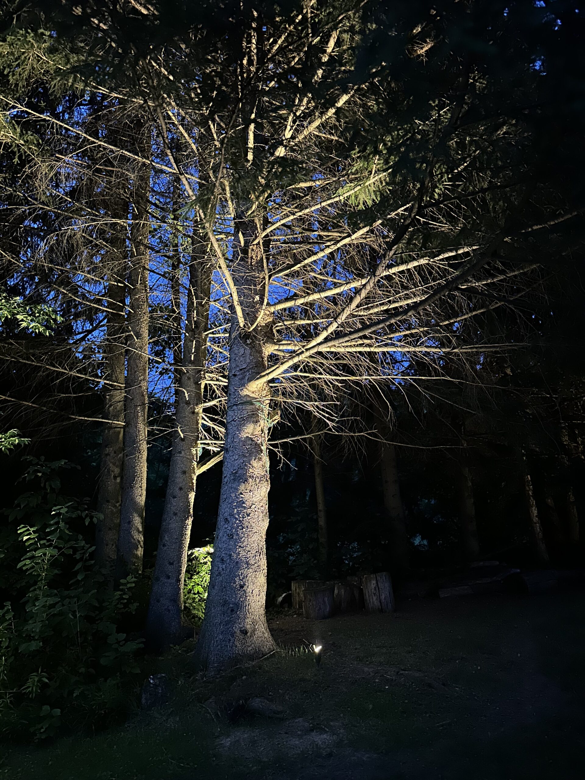 Landscape LED Lighting Companies Near Me