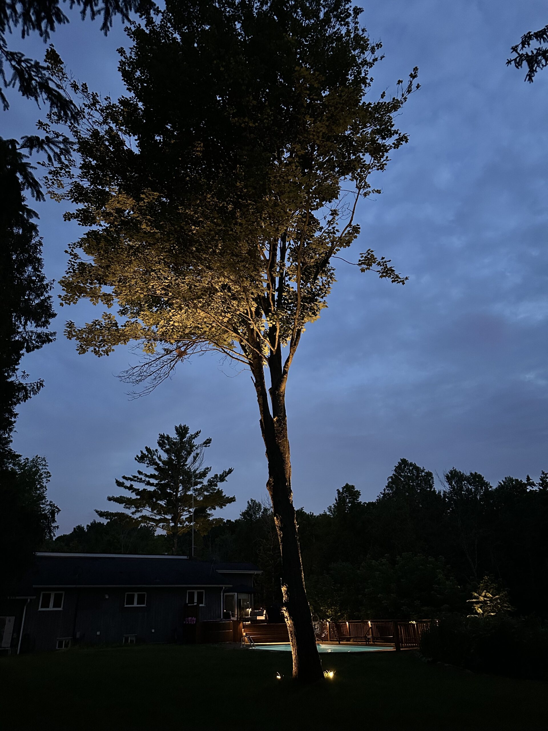 landscape LED lighting installers near me