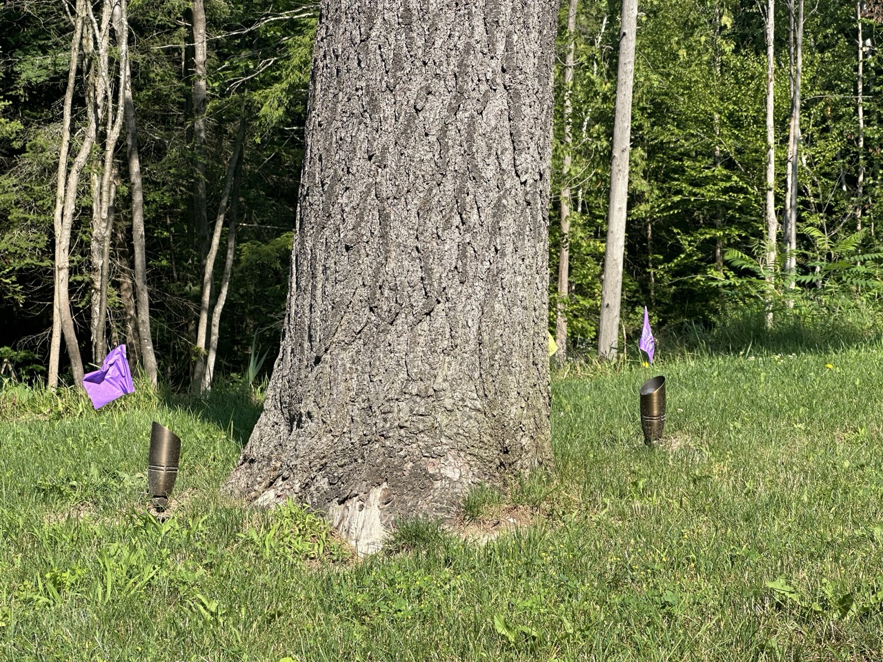 landscape LED lighting contractors near me