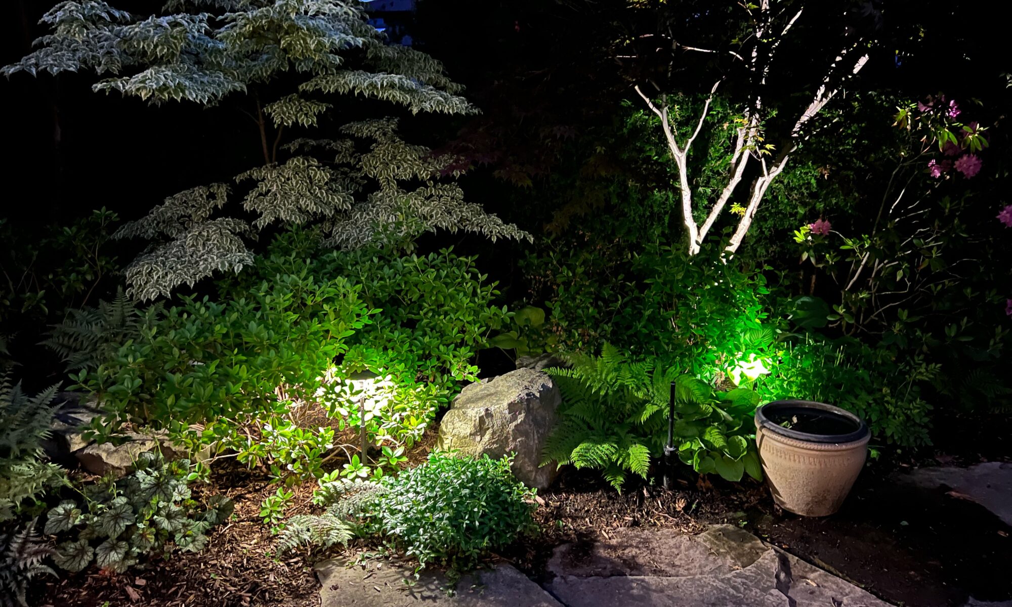 Landscape LED Lighting Companies Near Me
