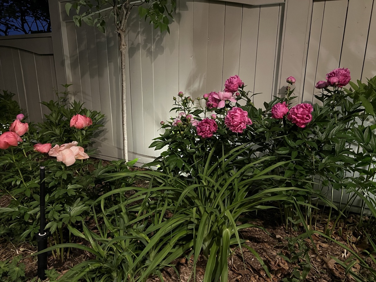 landscape LED lighting contractors near me