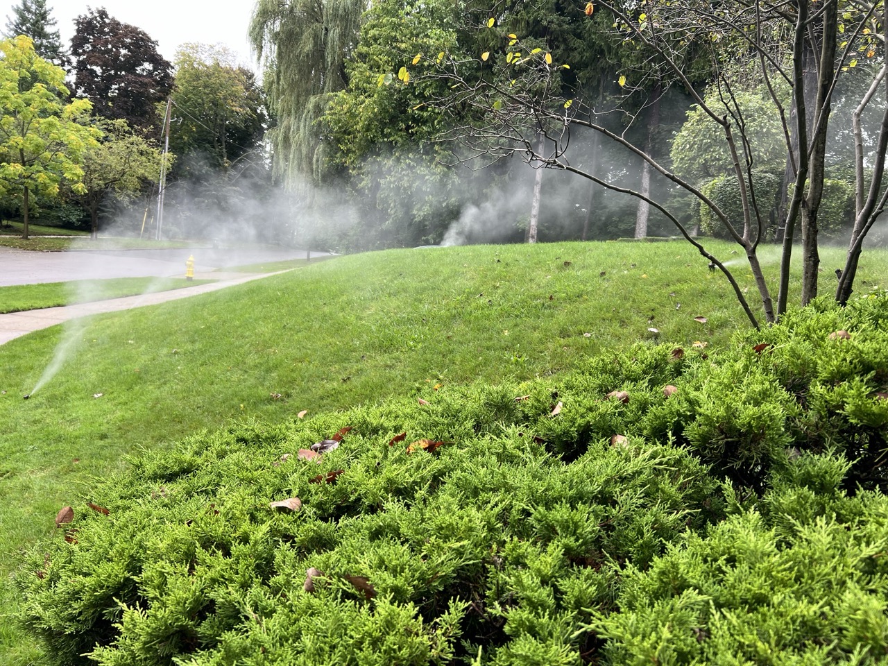 Lawn sprinkler blowout along a planted garden border