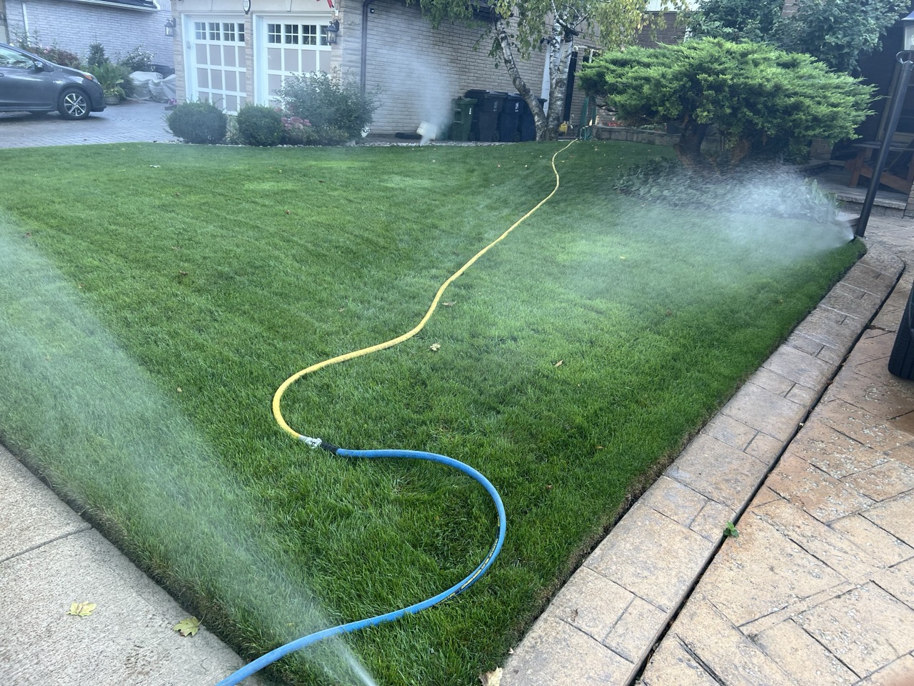 Sprinkler blowout with an air hose across a residential lawn