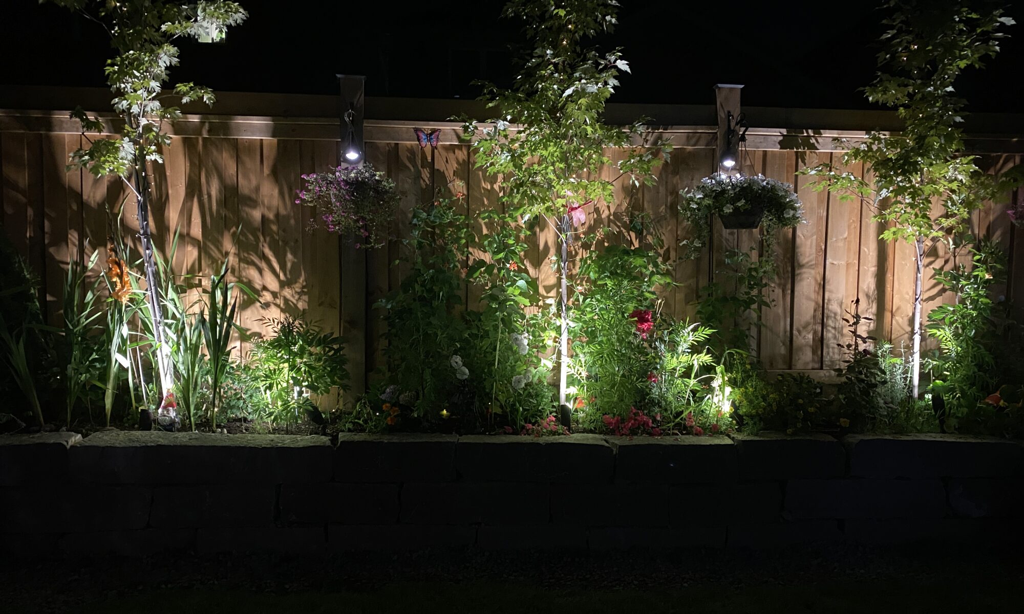 Landscape LED Lighting Installers Near Me