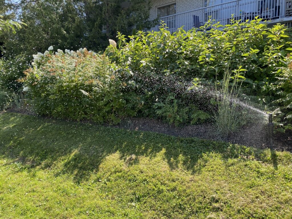 Irrigation Sprinkler System Activation & Start Up Ajax