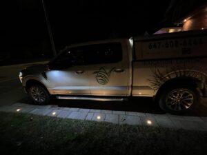 How to Install LED Outdoor Landscape Lights in Winter Time