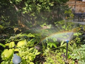 irrigation leak repair cost