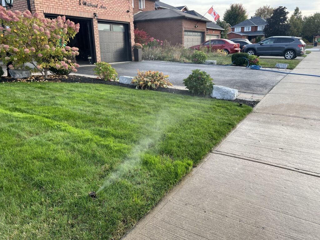 Georgina Irrigation Sprinkler Contractor