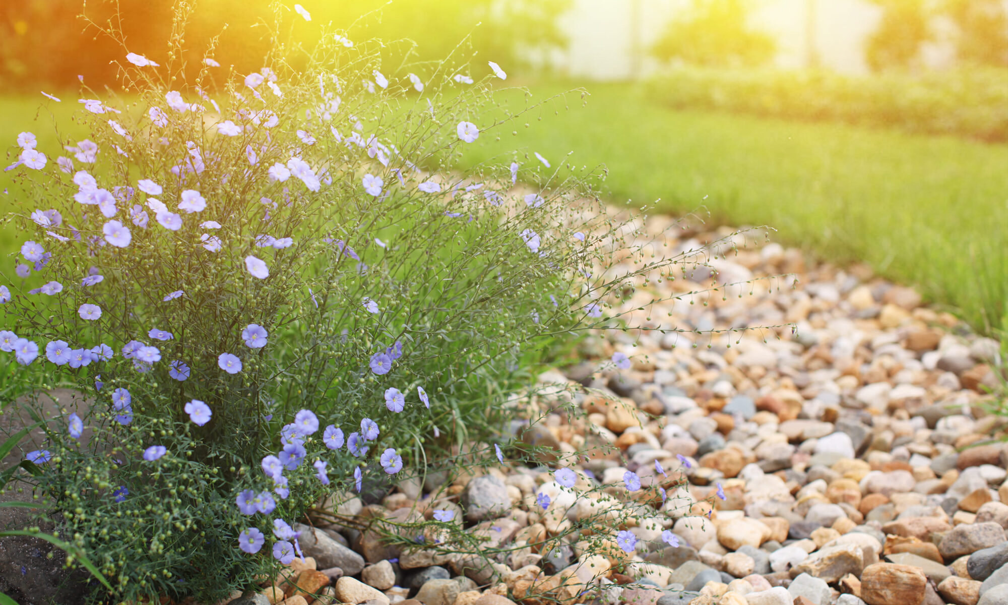 French Drain System