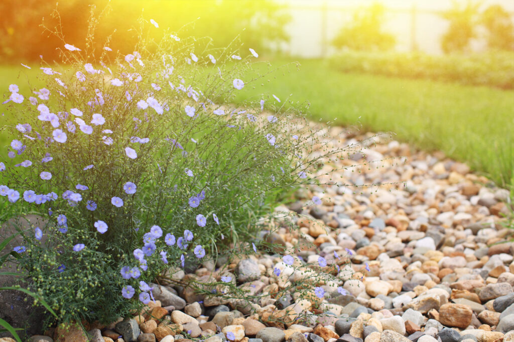 French Drain Contractors Near Me