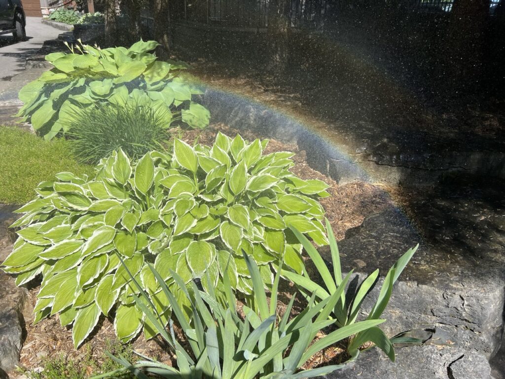 Orillia Irrigation Sprinkler Contractor