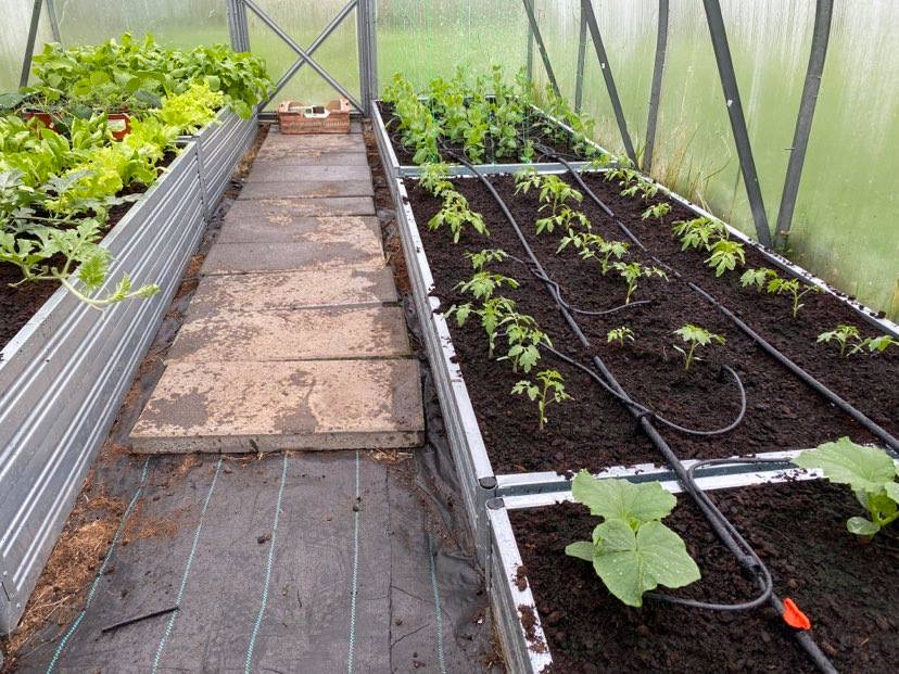 greenhouse irrigation Toronto and GTA