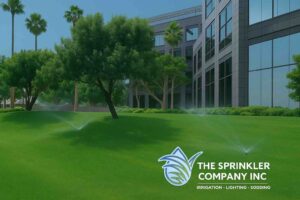 The Role of Irrigation Design in Commercial Landscaping