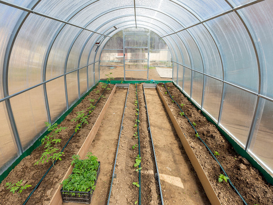 greenhouse irrigation Toronto and GTA