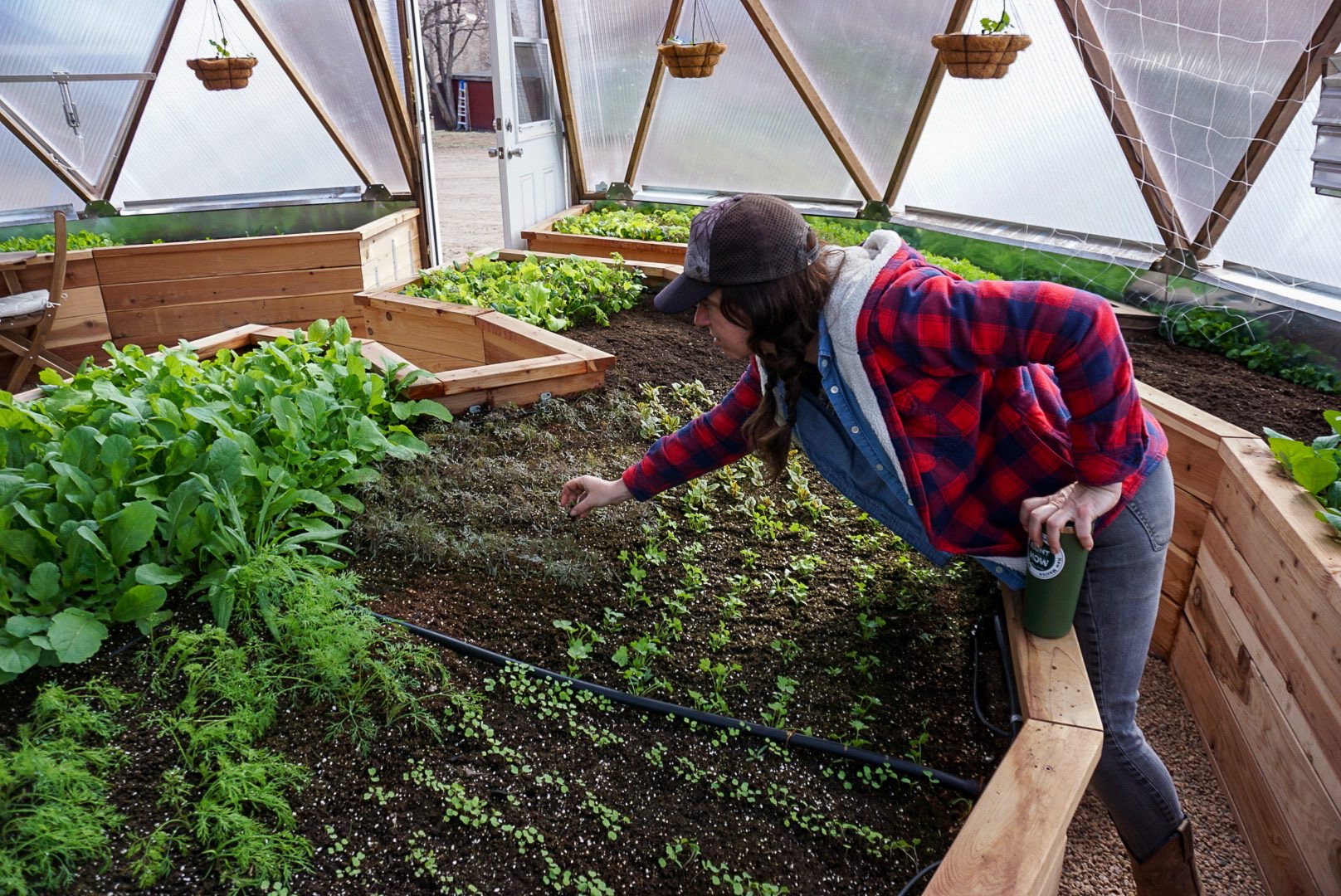 greenhouse irrigation Toronto and GTA