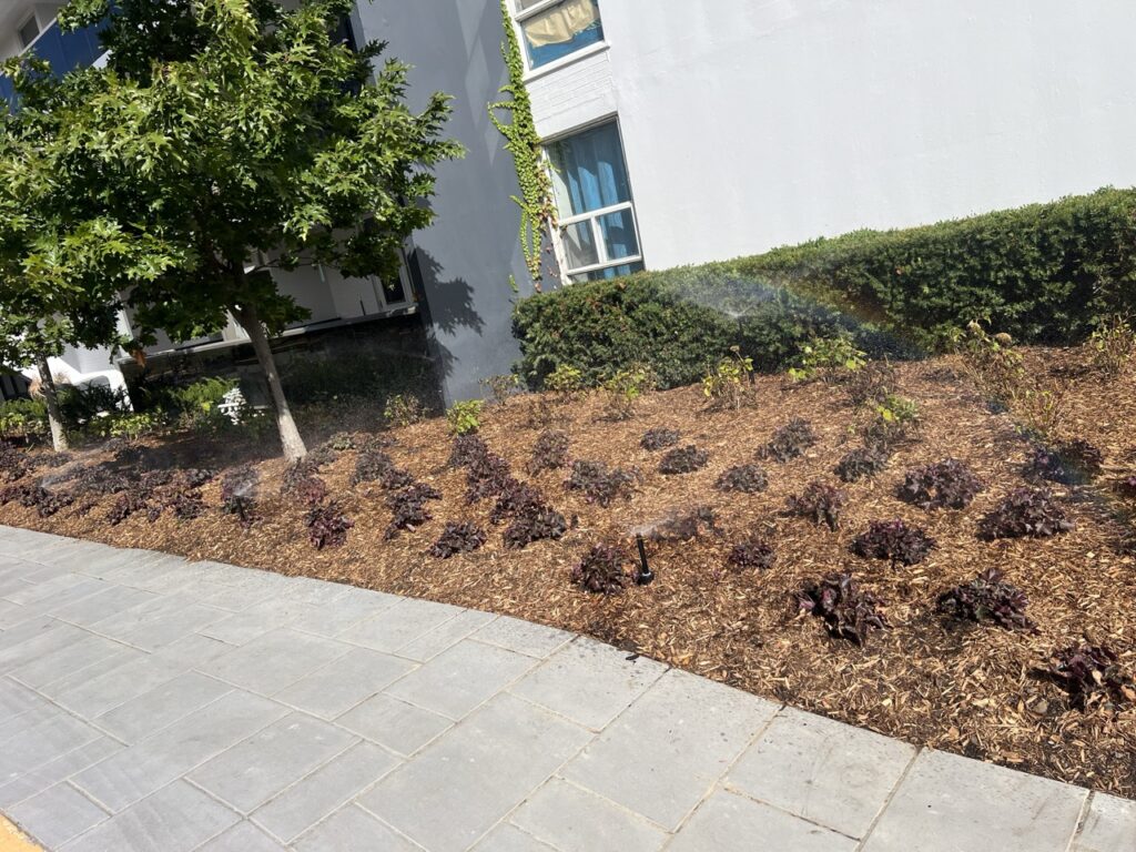 planter irrigation