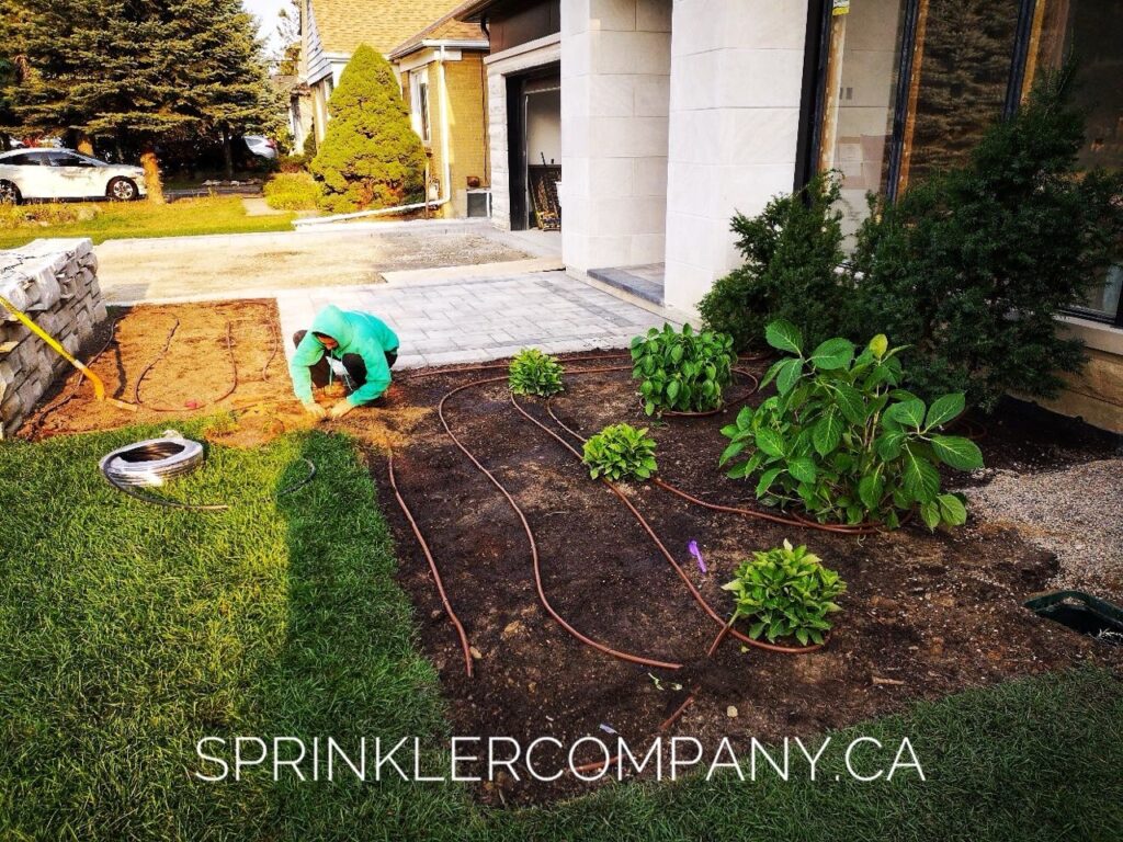 cheap irrigation