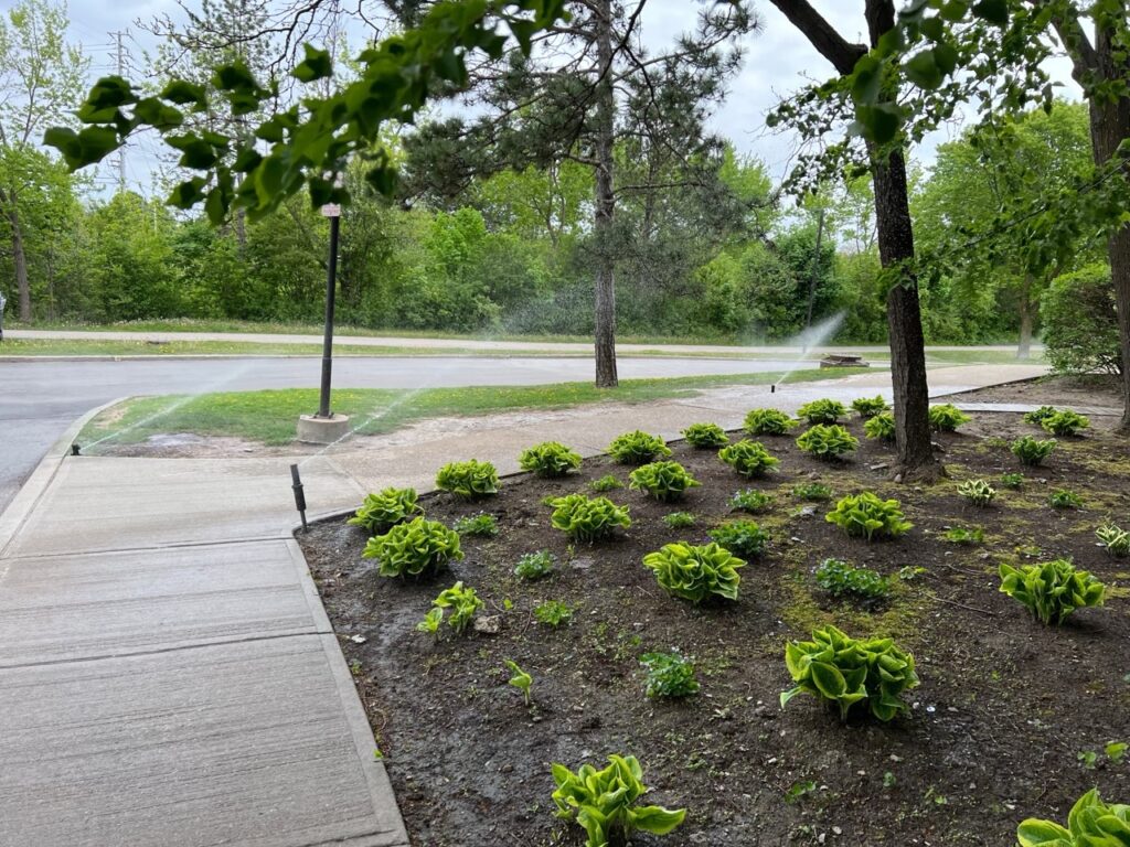 cheap irrigation