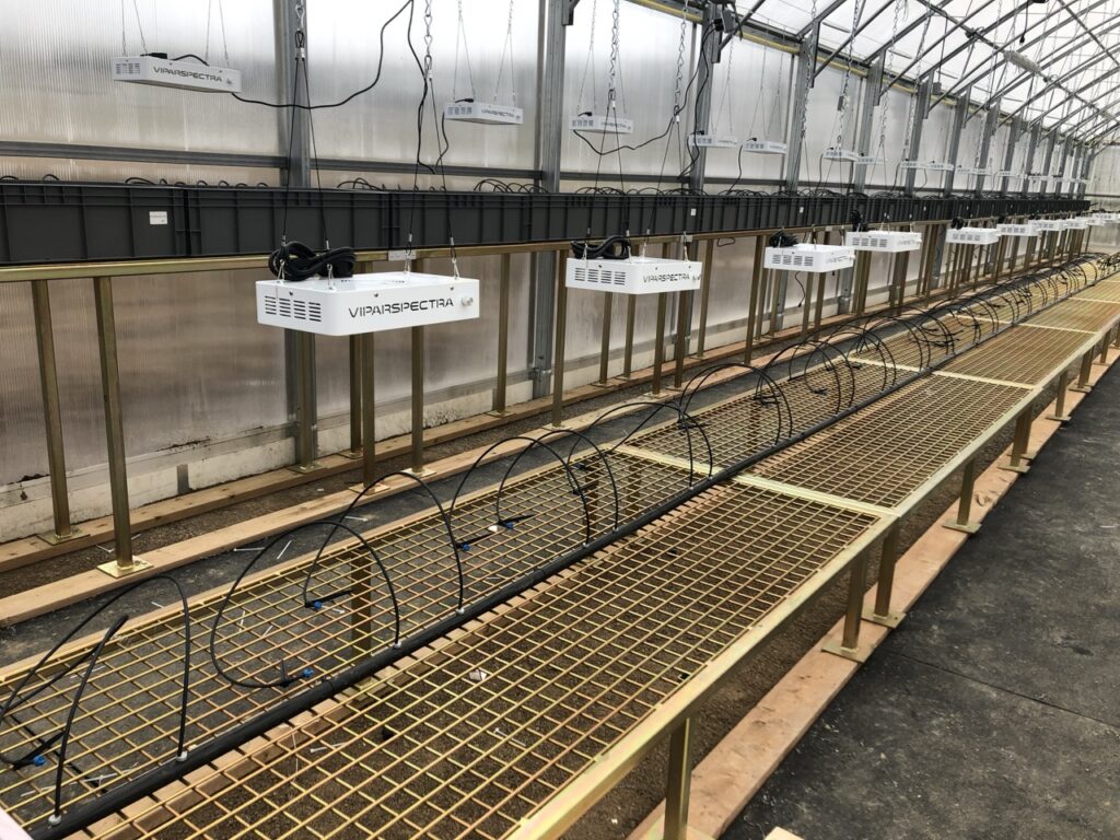 planter irrigation