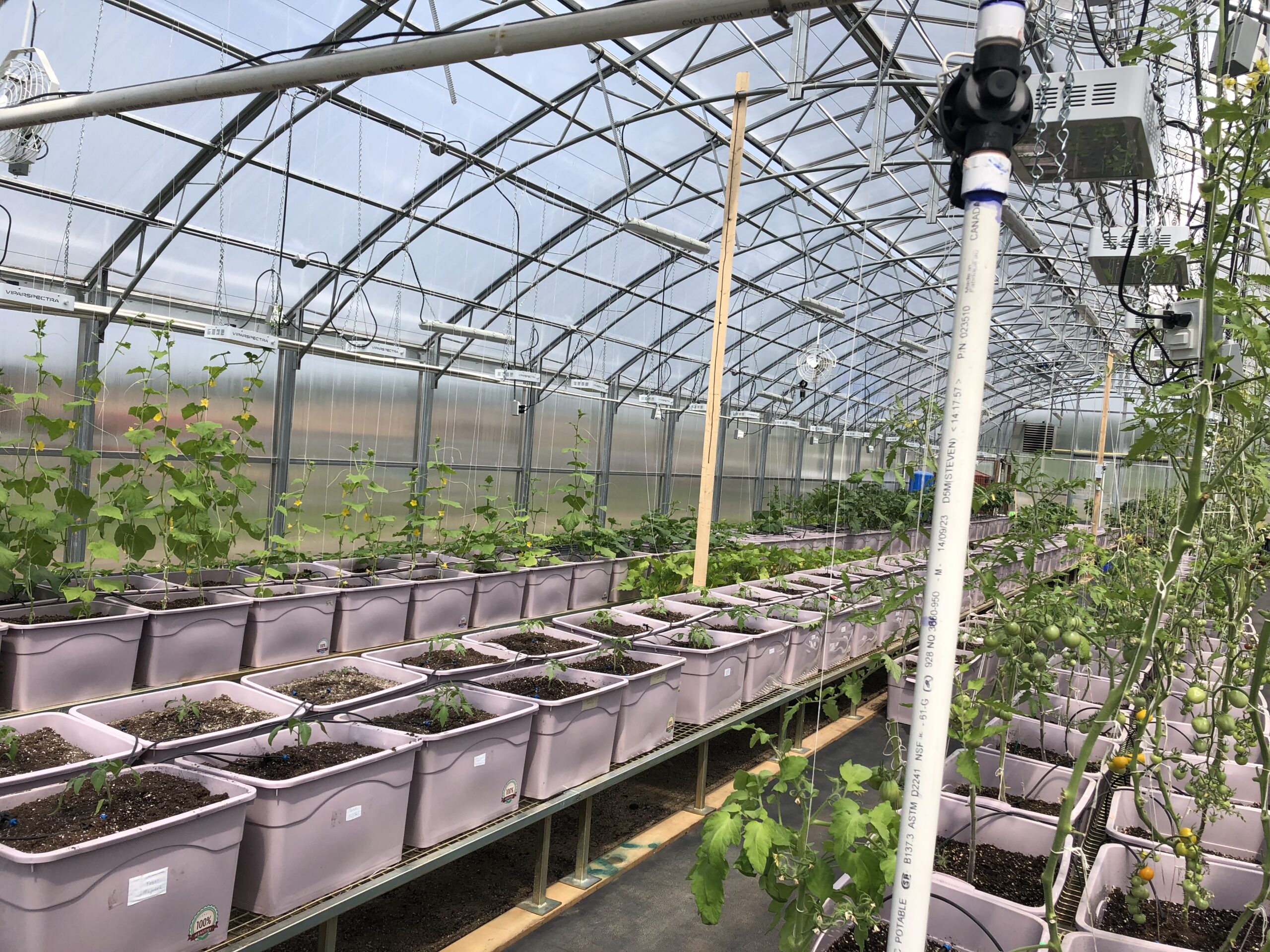 Commercial Farm Irrigation