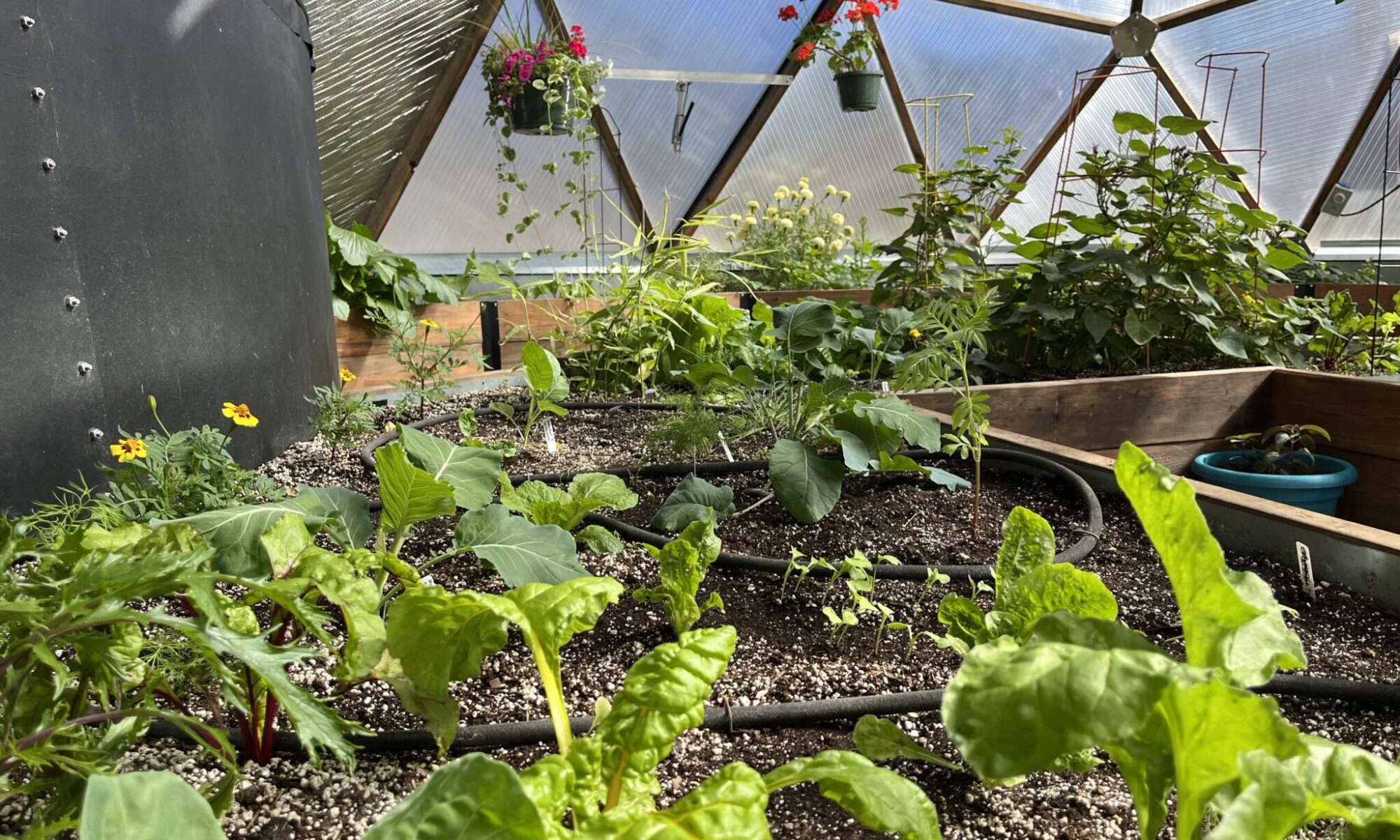 greenhouse irrigation Toronto and GTA