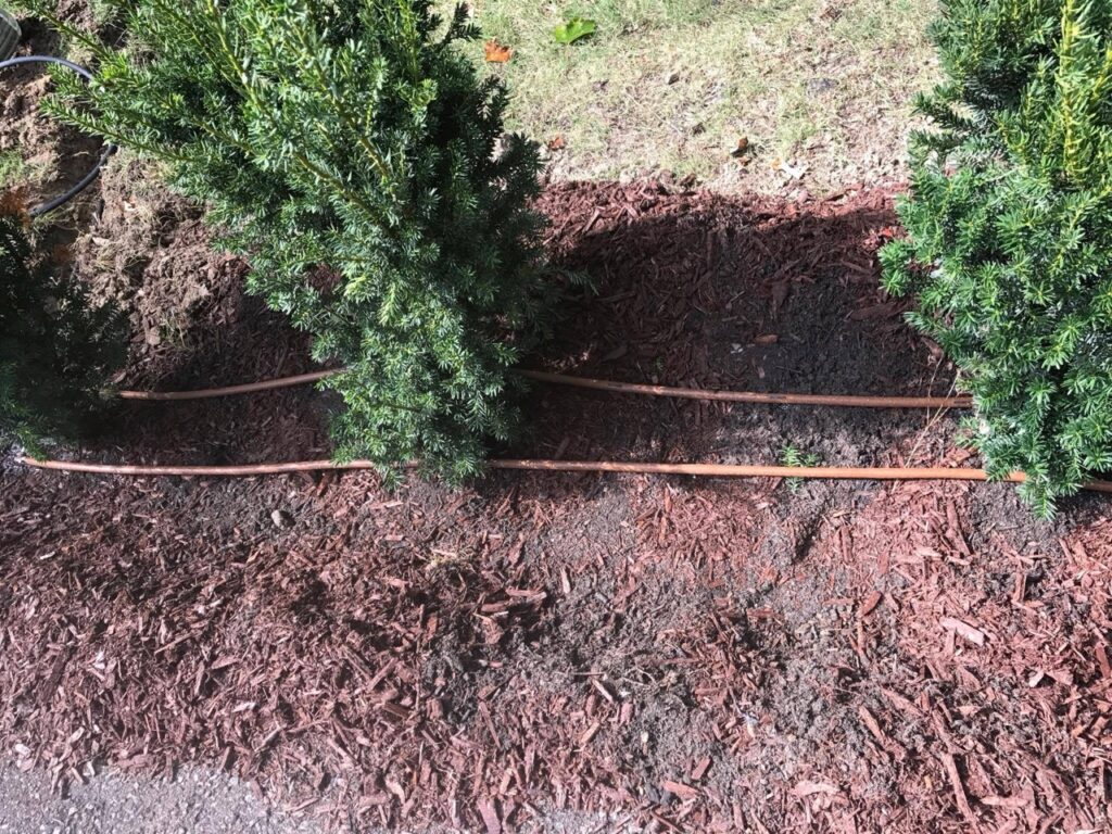 planter irrigation